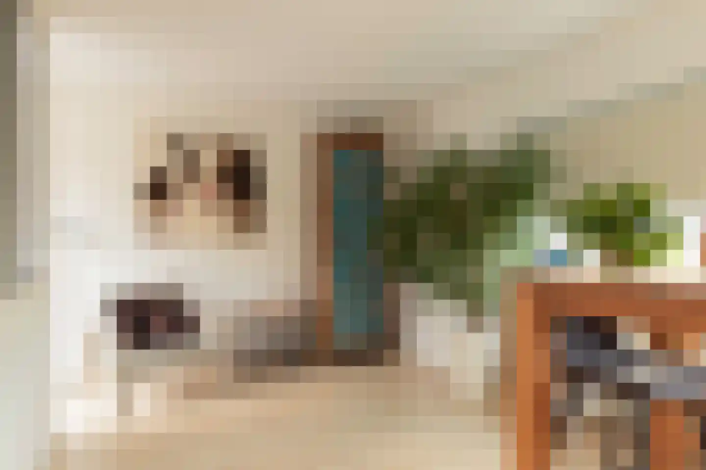 Grasvink 15 Eindhoven thumbnail 25