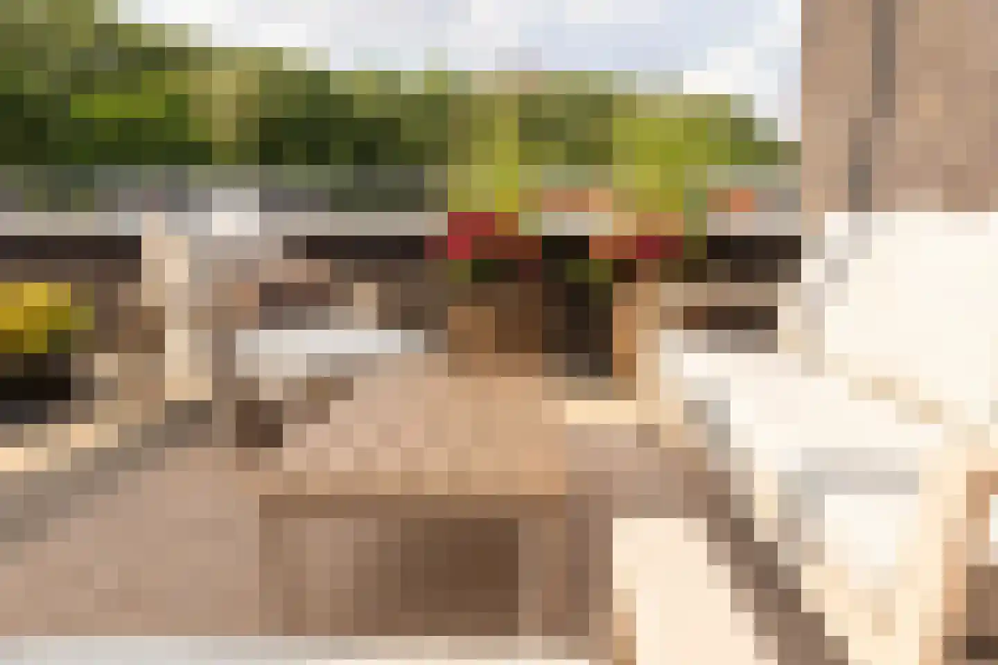 Grasvink 15 Eindhoven thumbnail 27