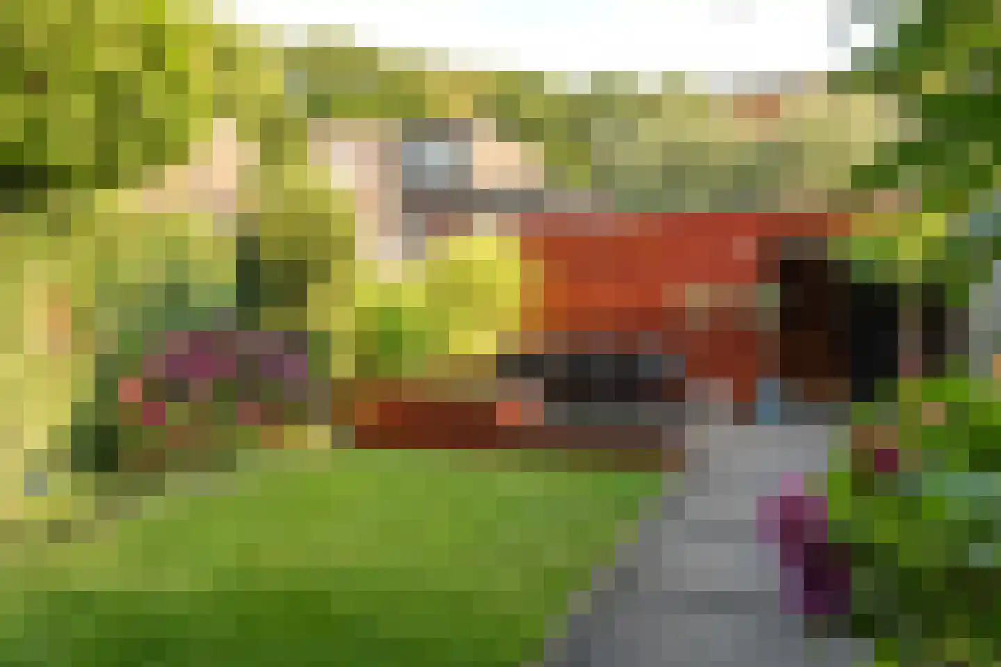 Grasvink 15 Eindhoven thumbnail 30