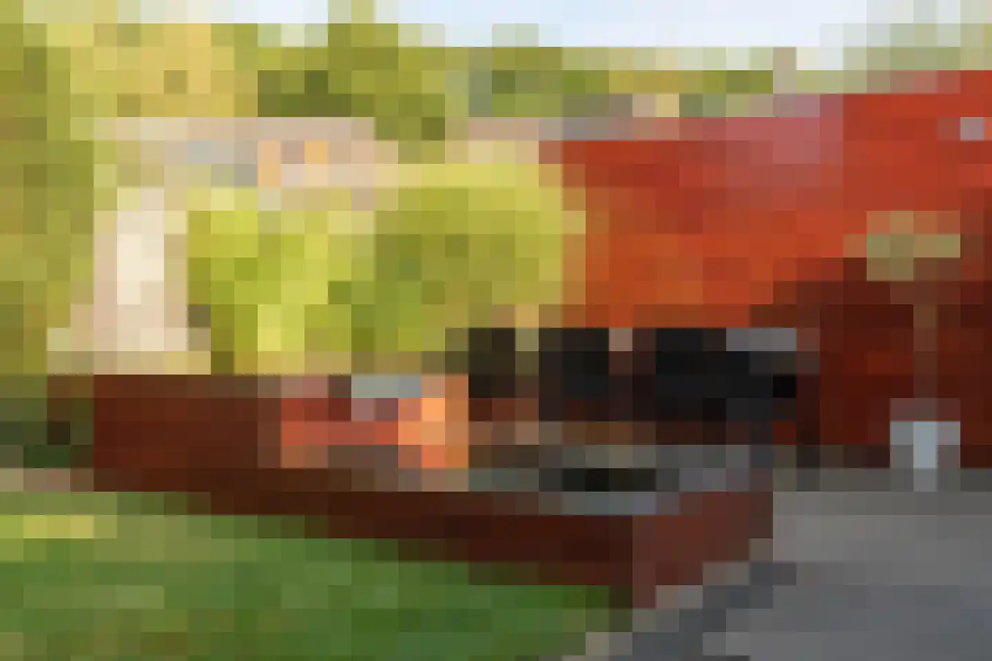 Grasvink 15 Eindhoven thumbnail 31