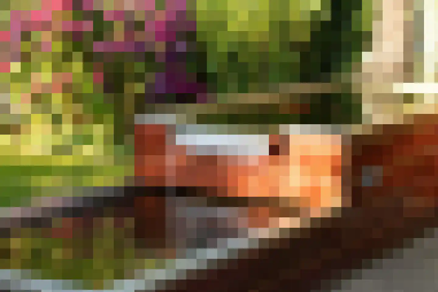 Grasvink 15 Eindhoven thumbnail 33