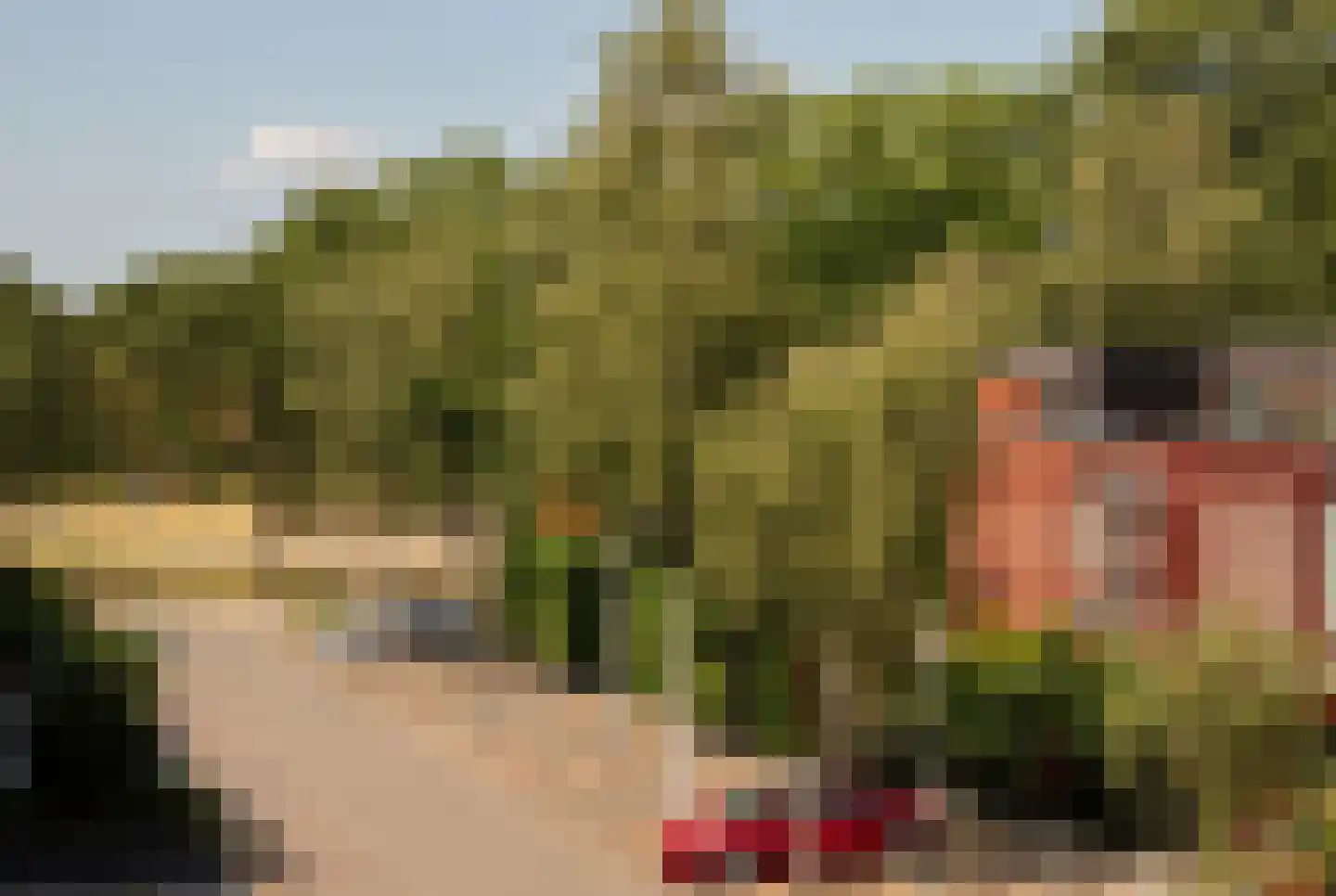 Grasvink 15 Eindhoven thumbnail 35
