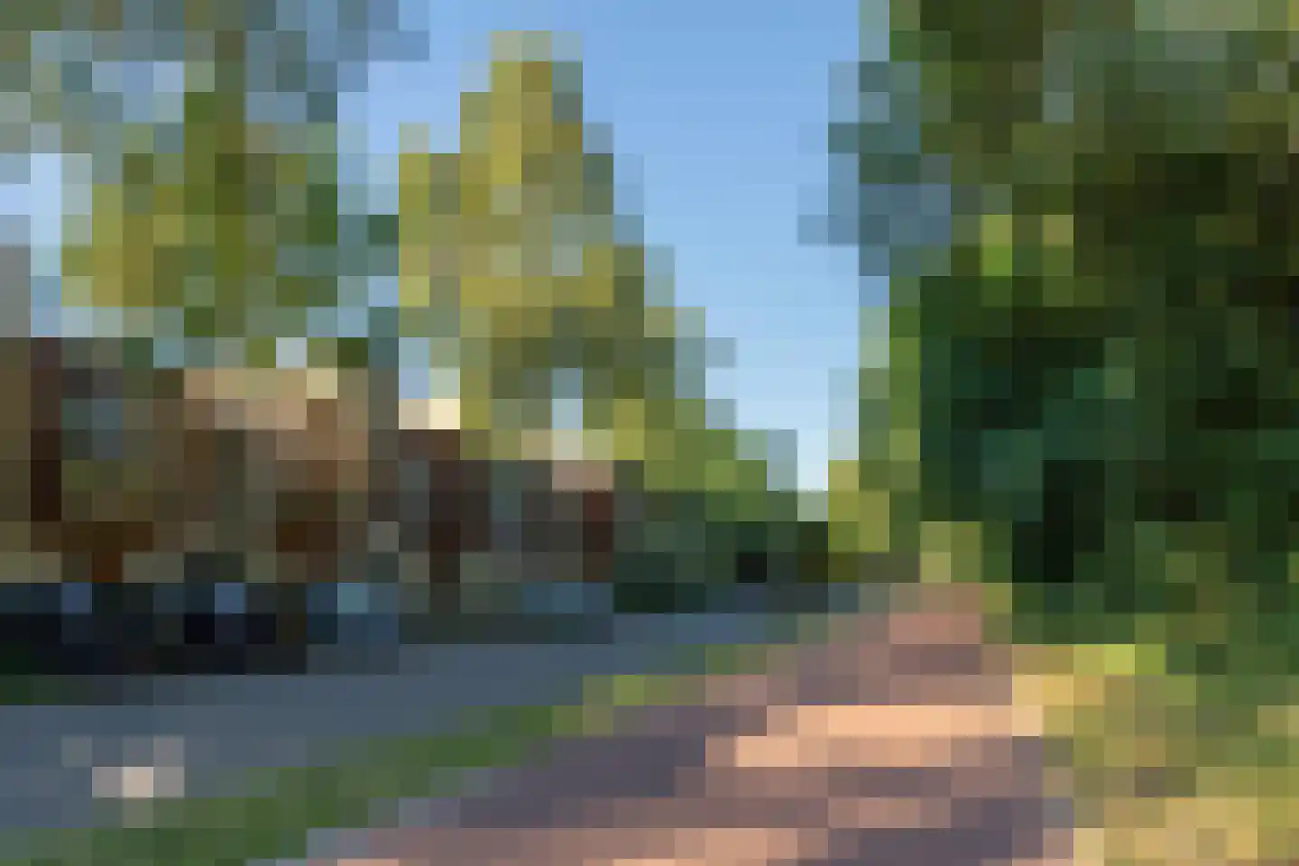 Grasvink 15 Eindhoven thumbnail 36