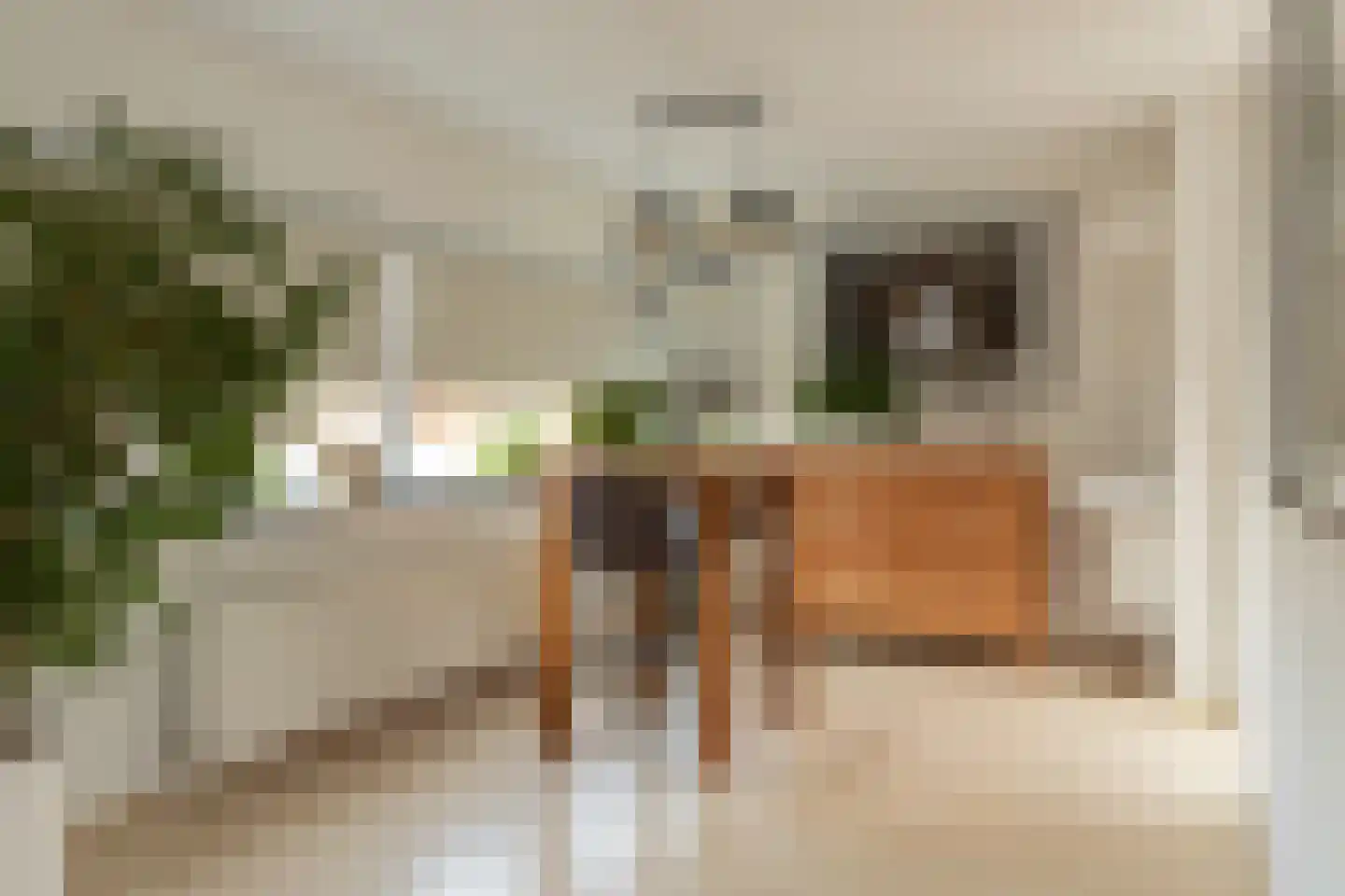 Grasvink 15 Eindhoven thumbnail 4