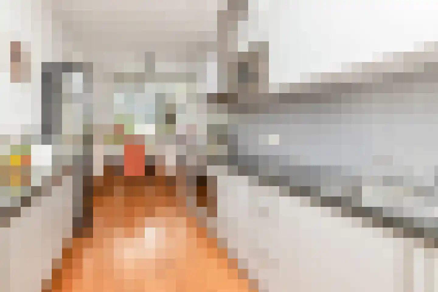 Grasvink 42 Eindhoven thumbnail 20