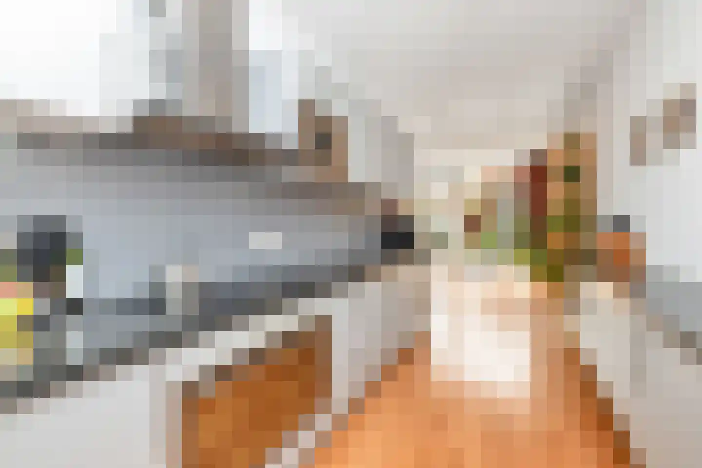 Grasvink 42 Eindhoven thumbnail 21