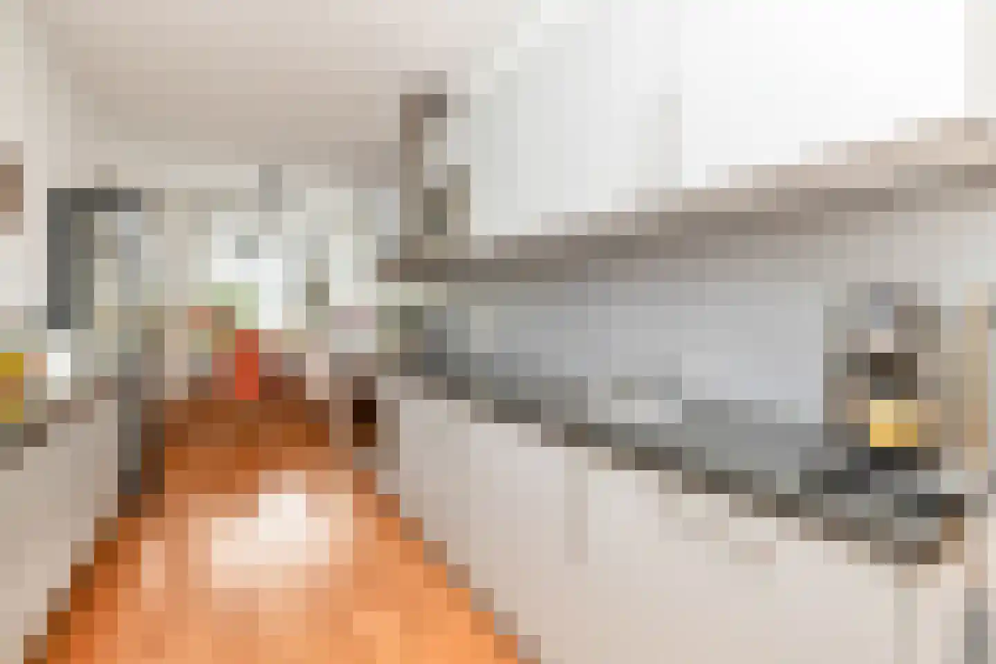 Grasvink 42 Eindhoven thumbnail 22