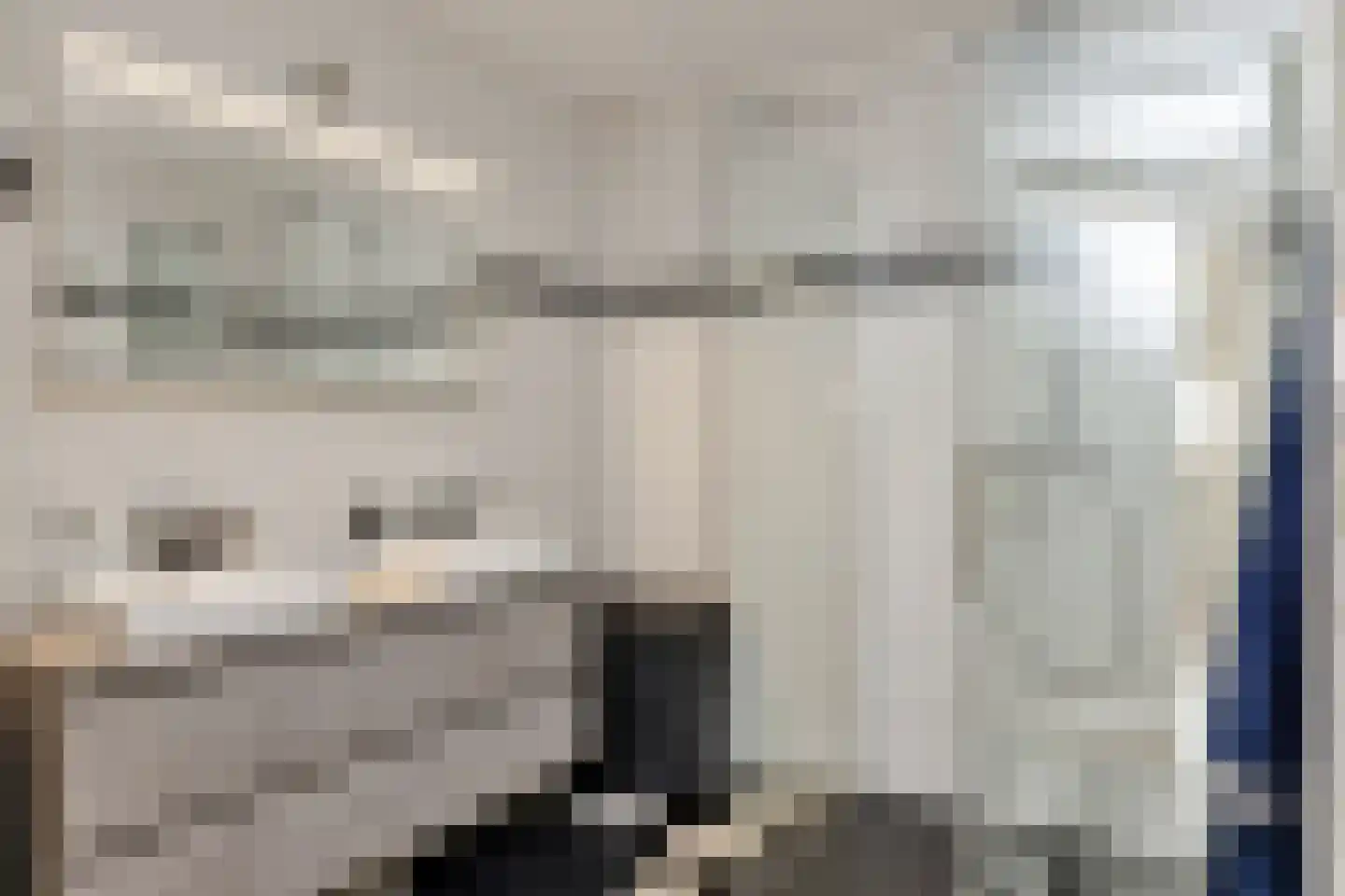 Grasvink 42 Eindhoven thumbnail 4
