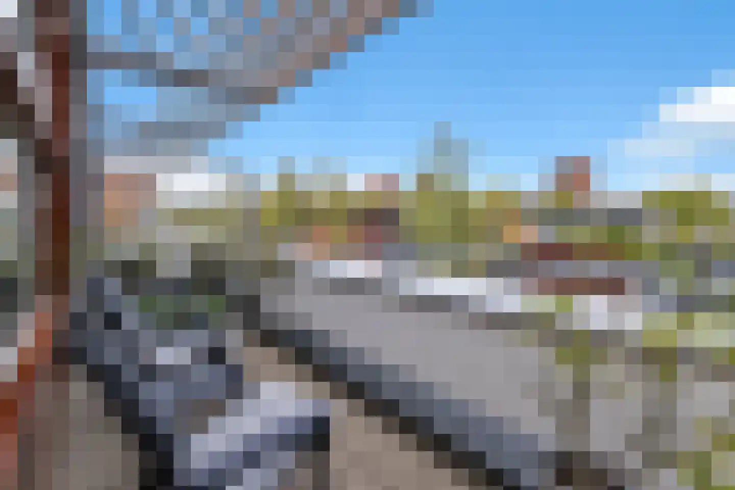 Grasvink 42 Eindhoven thumbnail 50