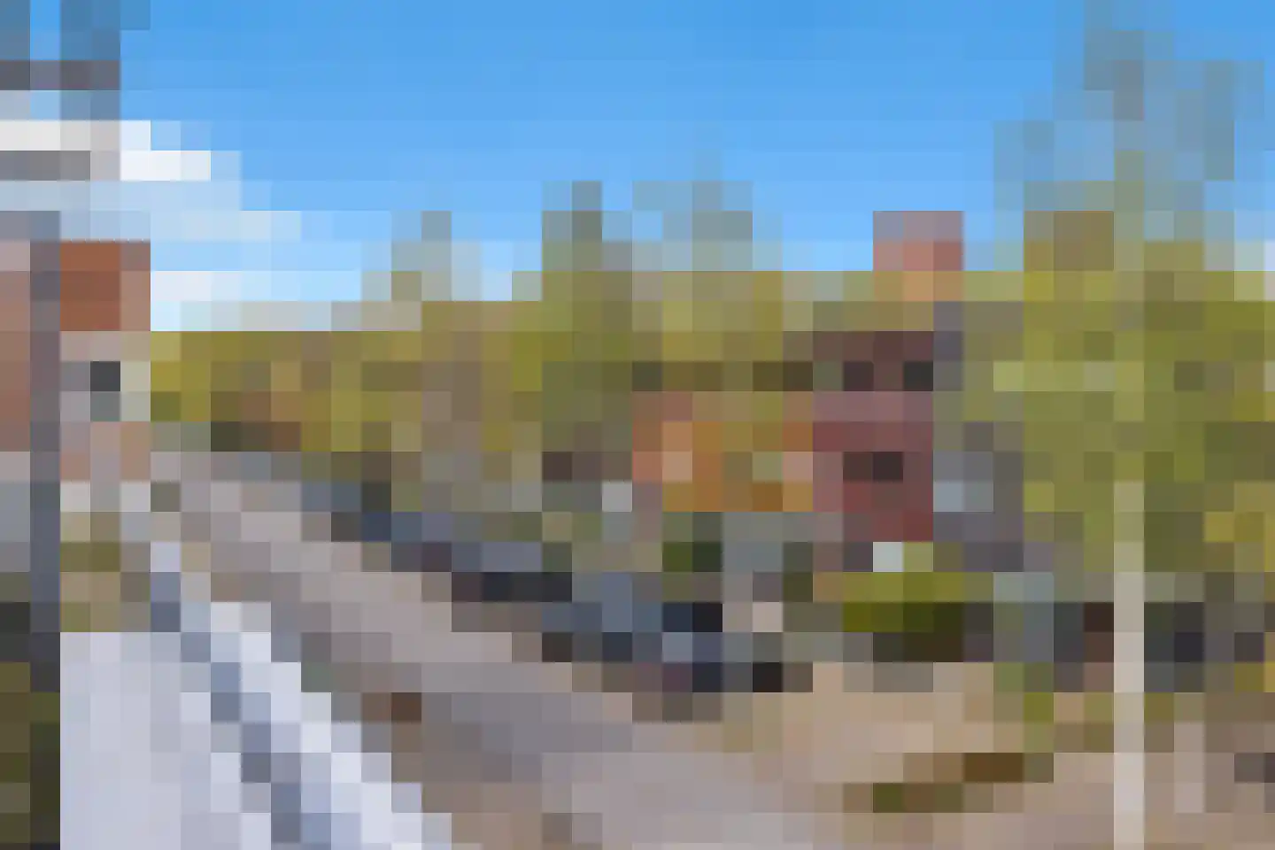 Grasvink 42 Eindhoven thumbnail 53