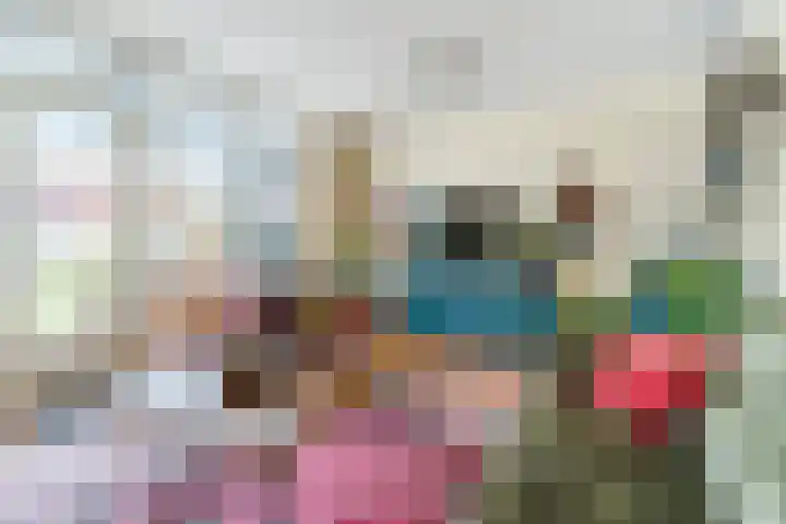 Grasvink 49 Eindhoven thumbnail 16
