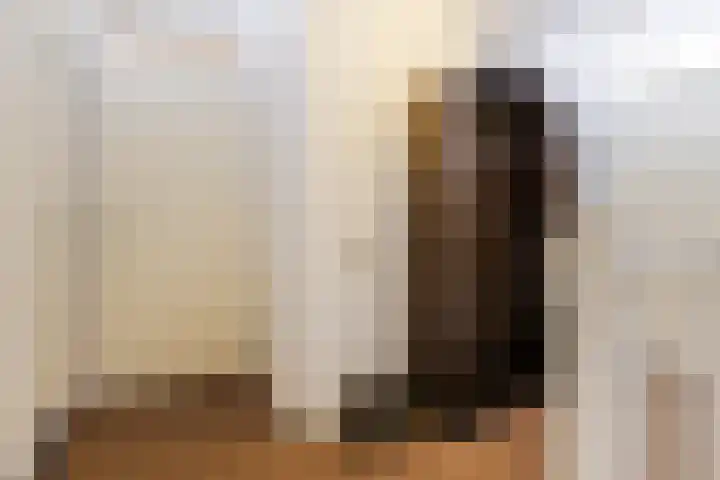 Grasvink 49 Eindhoven thumbnail 19
