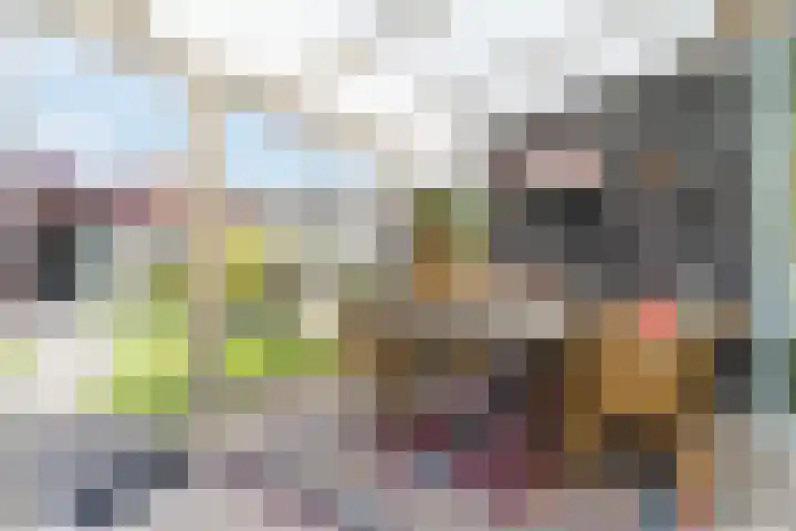 Grasvink 49 Eindhoven thumbnail 31