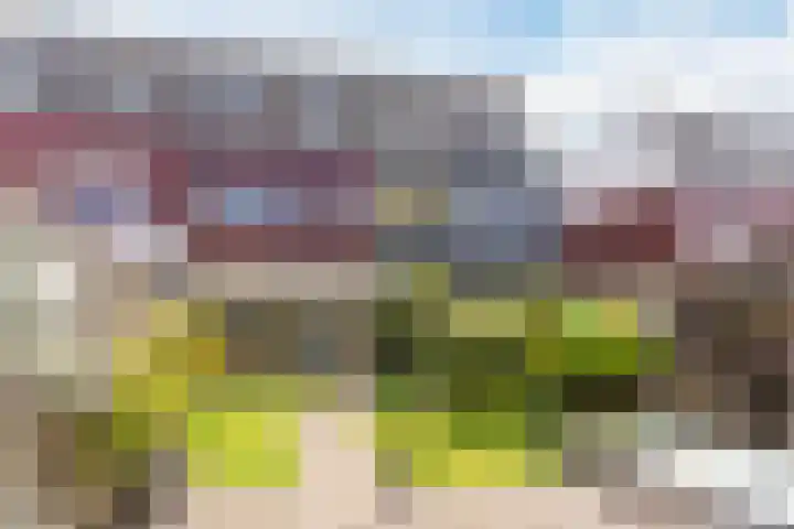 Grasvink 49 Eindhoven thumbnail 32