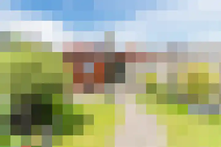 Grasvink 49 Eindhoven thumbnail 33