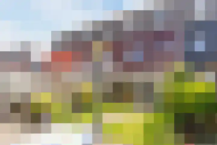 Grasvink 49 Eindhoven thumbnail 34