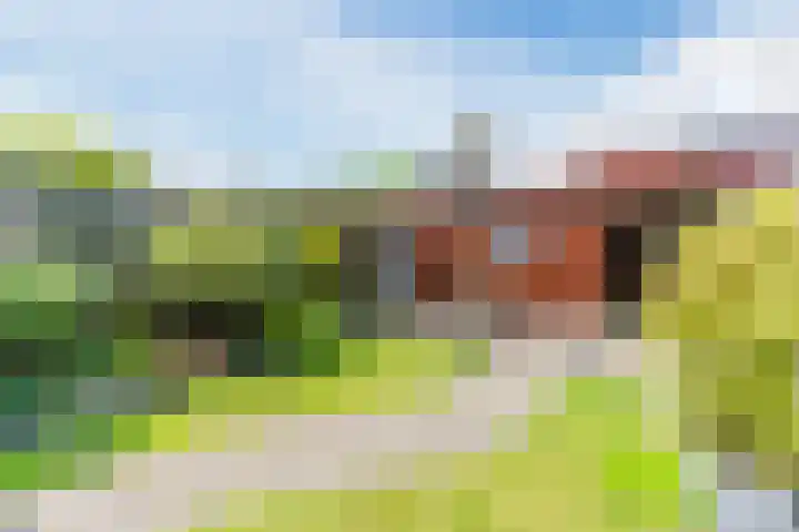 Grasvink 49 Eindhoven thumbnail 35