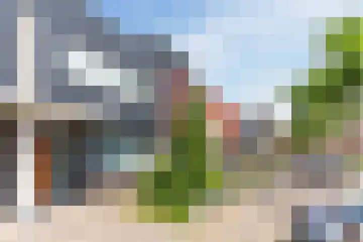 Grasvink 49 Eindhoven thumbnail 38