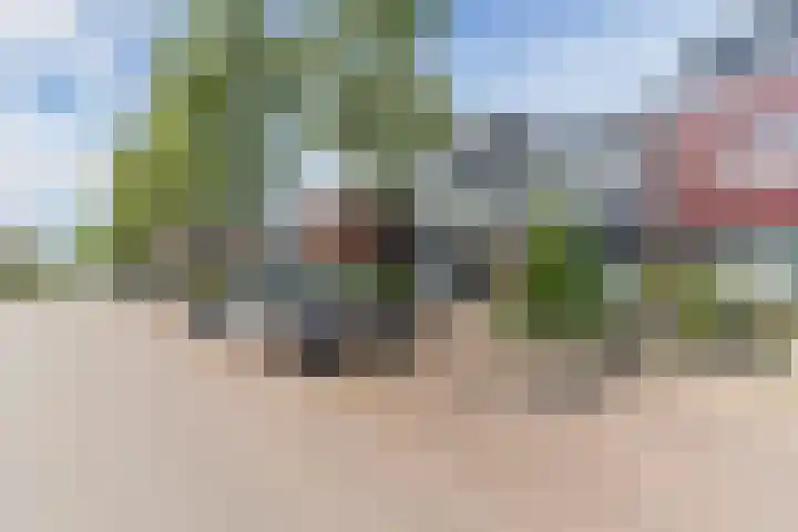 Grasvink 49 Eindhoven thumbnail 39