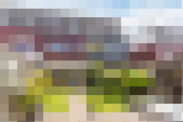 Grasvink 49 Eindhoven thumbnail 4