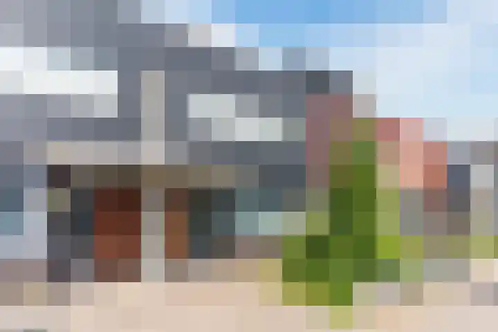 Grasvink 49 Eindhoven thumbnail 5