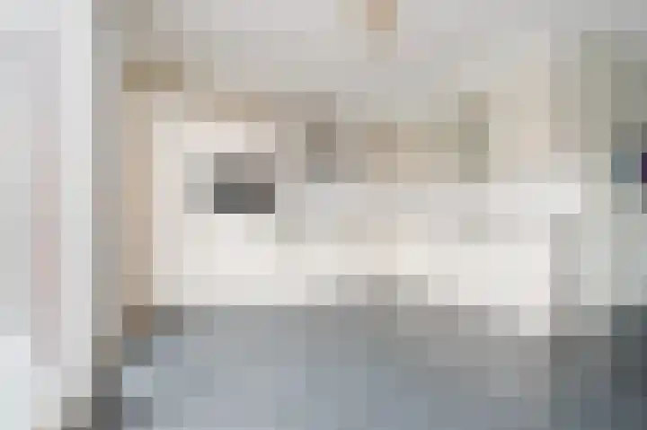 Grasvogel 15 Eindhoven thumbnail 12