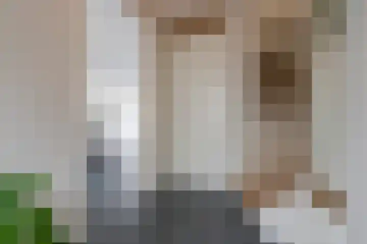 Grasvogel 15 Eindhoven thumbnail 15