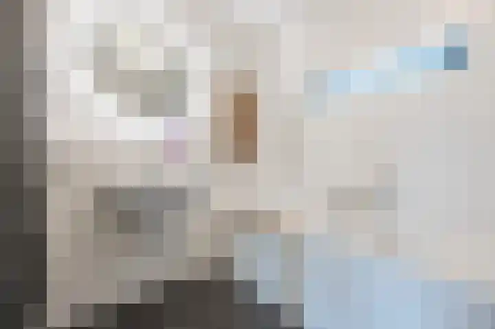 Grasvogel 15 Eindhoven thumbnail 24