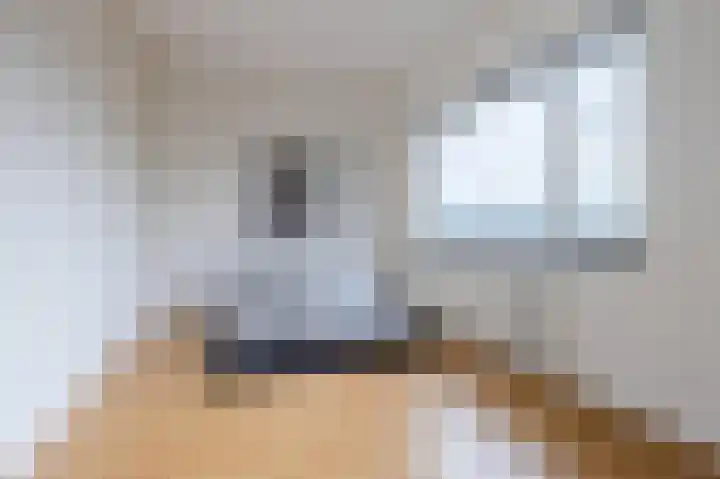 Grasvogel 15 Eindhoven thumbnail 32