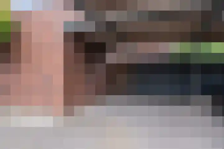 Grasvogel 15 Eindhoven thumbnail 39