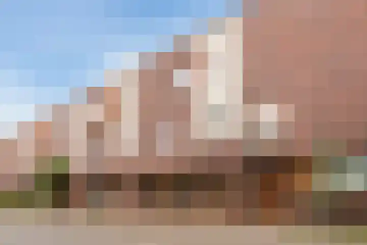 Grasvogel 15 Eindhoven thumbnail 4