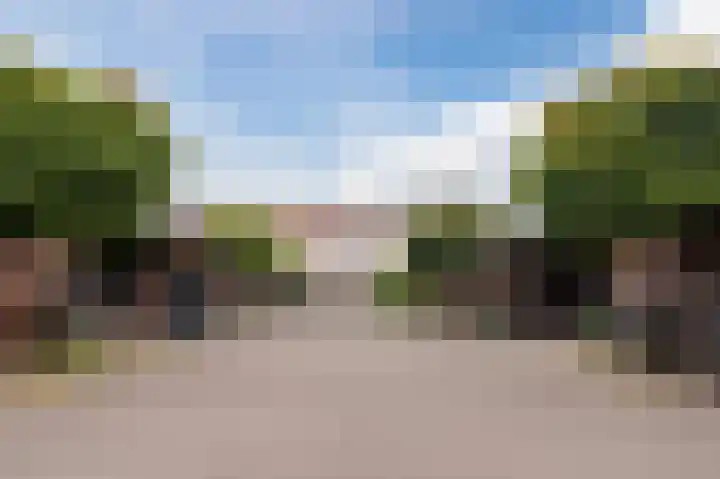 Grasvogel 15 Eindhoven thumbnail 42