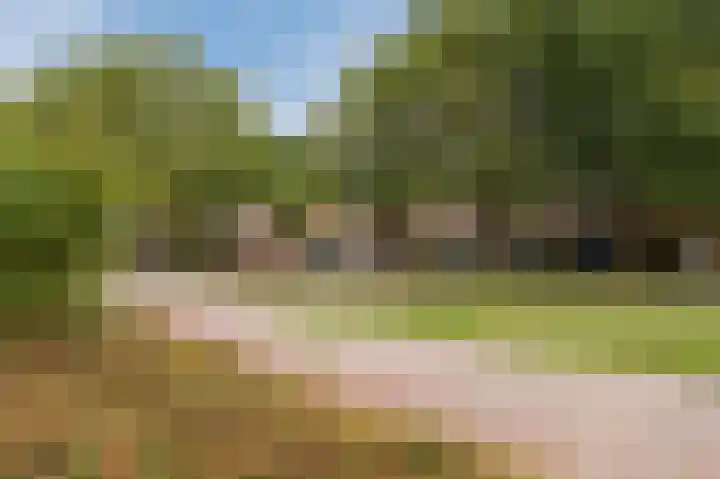 Grasvogel 15 Eindhoven thumbnail 44