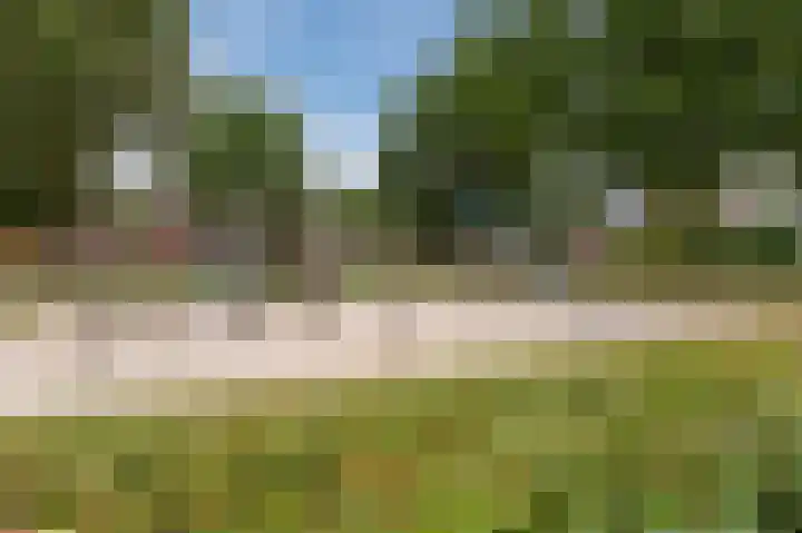Grasvogel 15 Eindhoven thumbnail 45