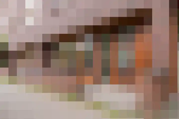 Grasvogel 15 Eindhoven thumbnail 5