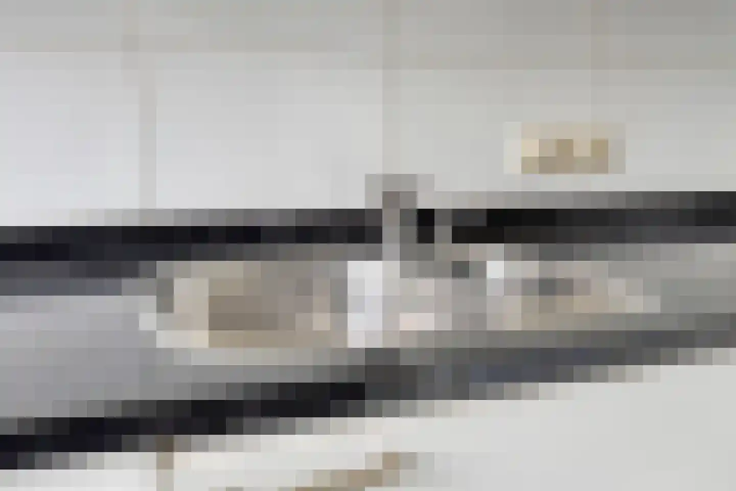 Grasvogel 3 Eindhoven thumbnail 11