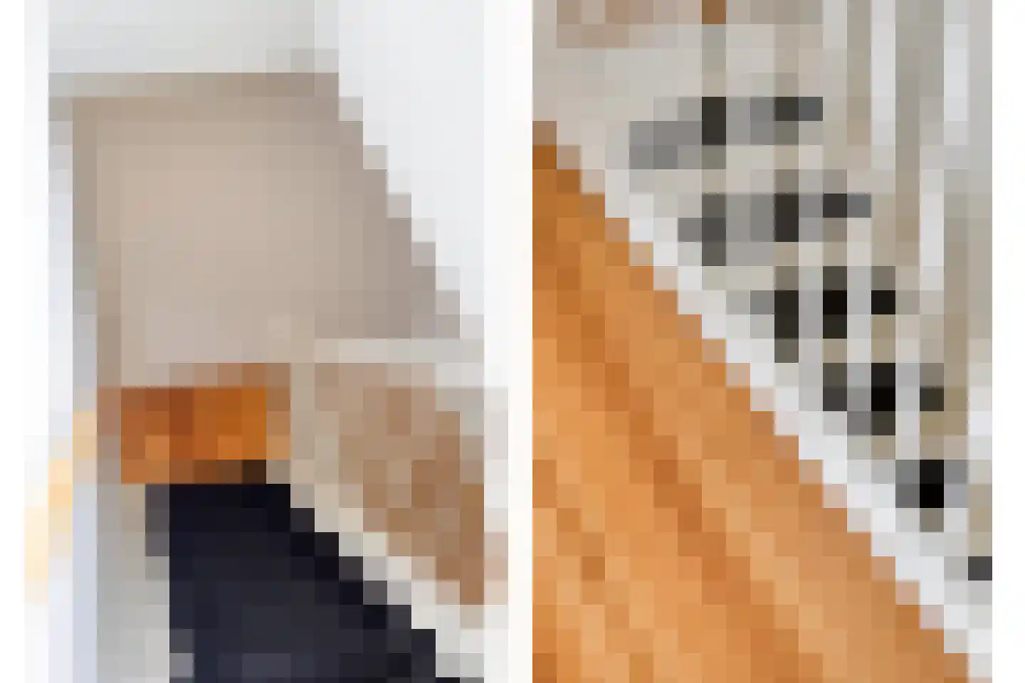 Grasvogel 3 Eindhoven thumbnail 15