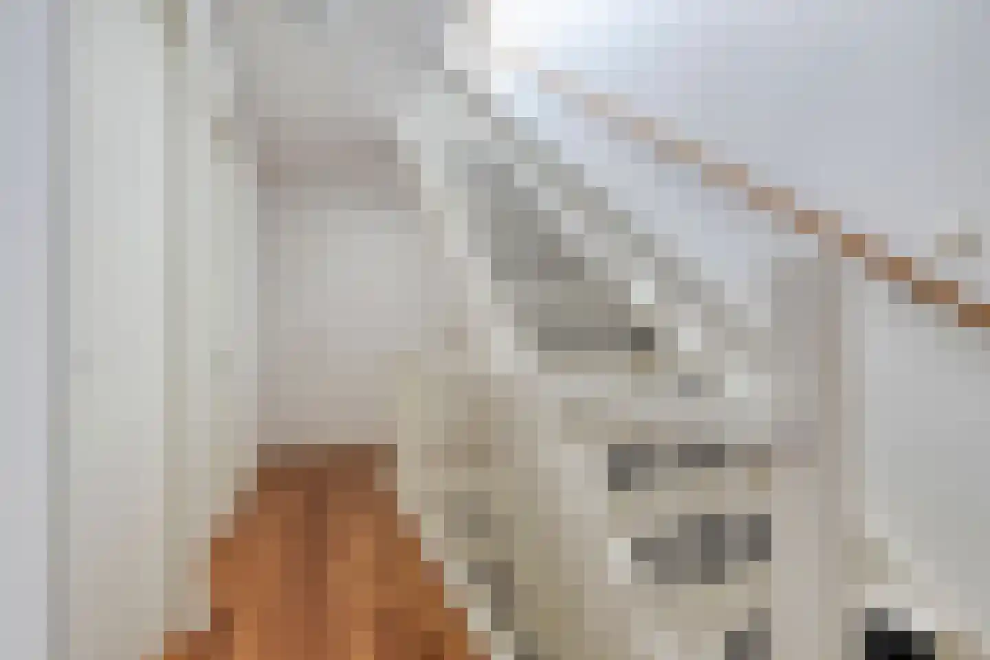 Grasvogel 3 Eindhoven thumbnail 25