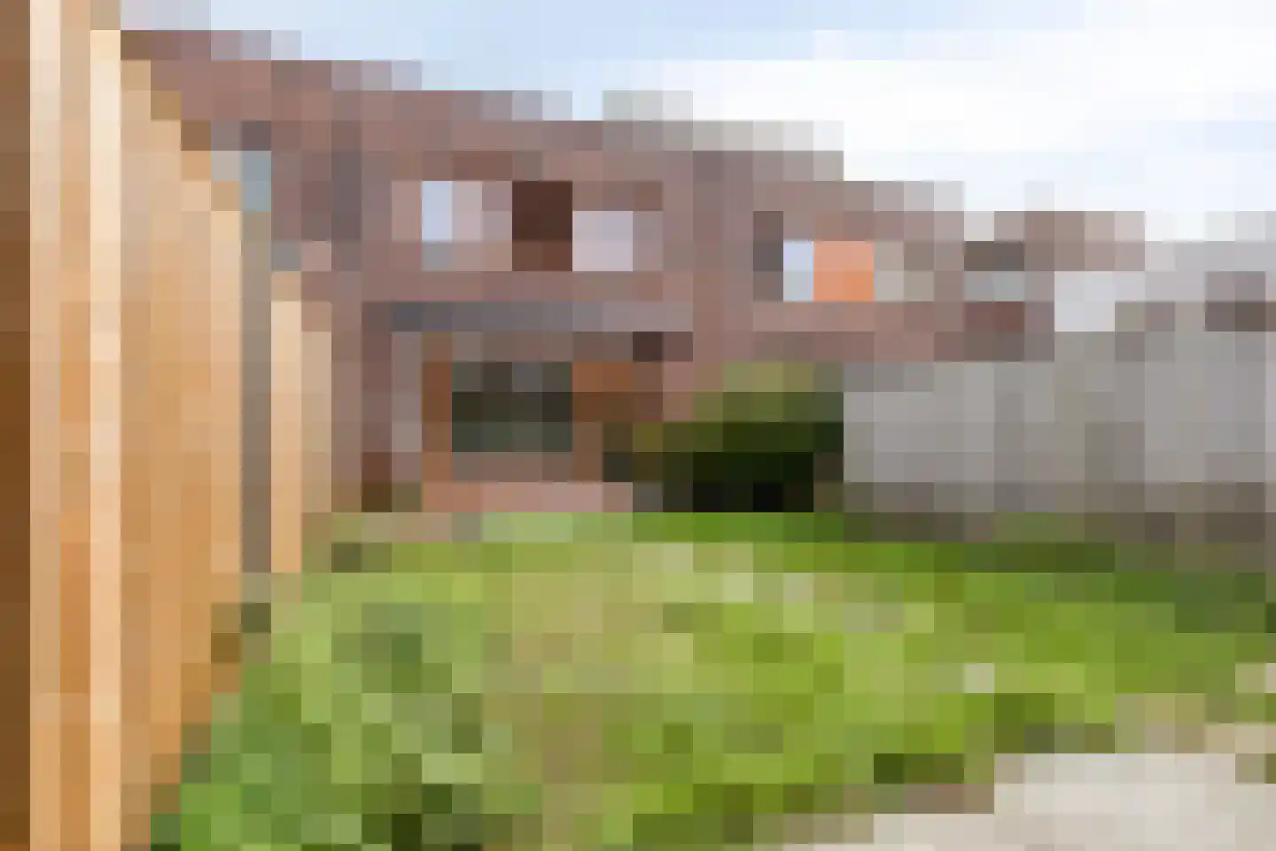 Grasvogel 3 Eindhoven thumbnail 31