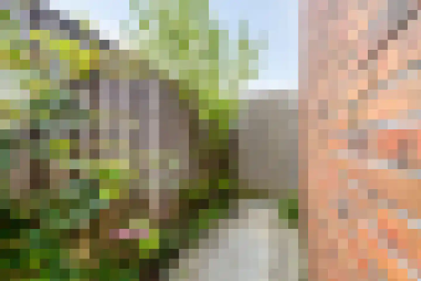 Grasvogel 3 Eindhoven thumbnail 32