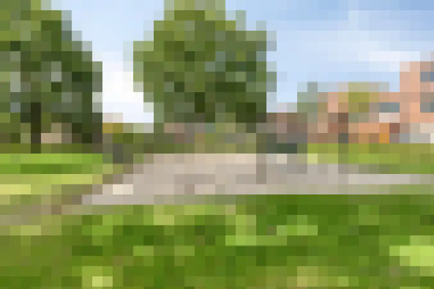 Grasvogel 3 Eindhoven thumbnail 37