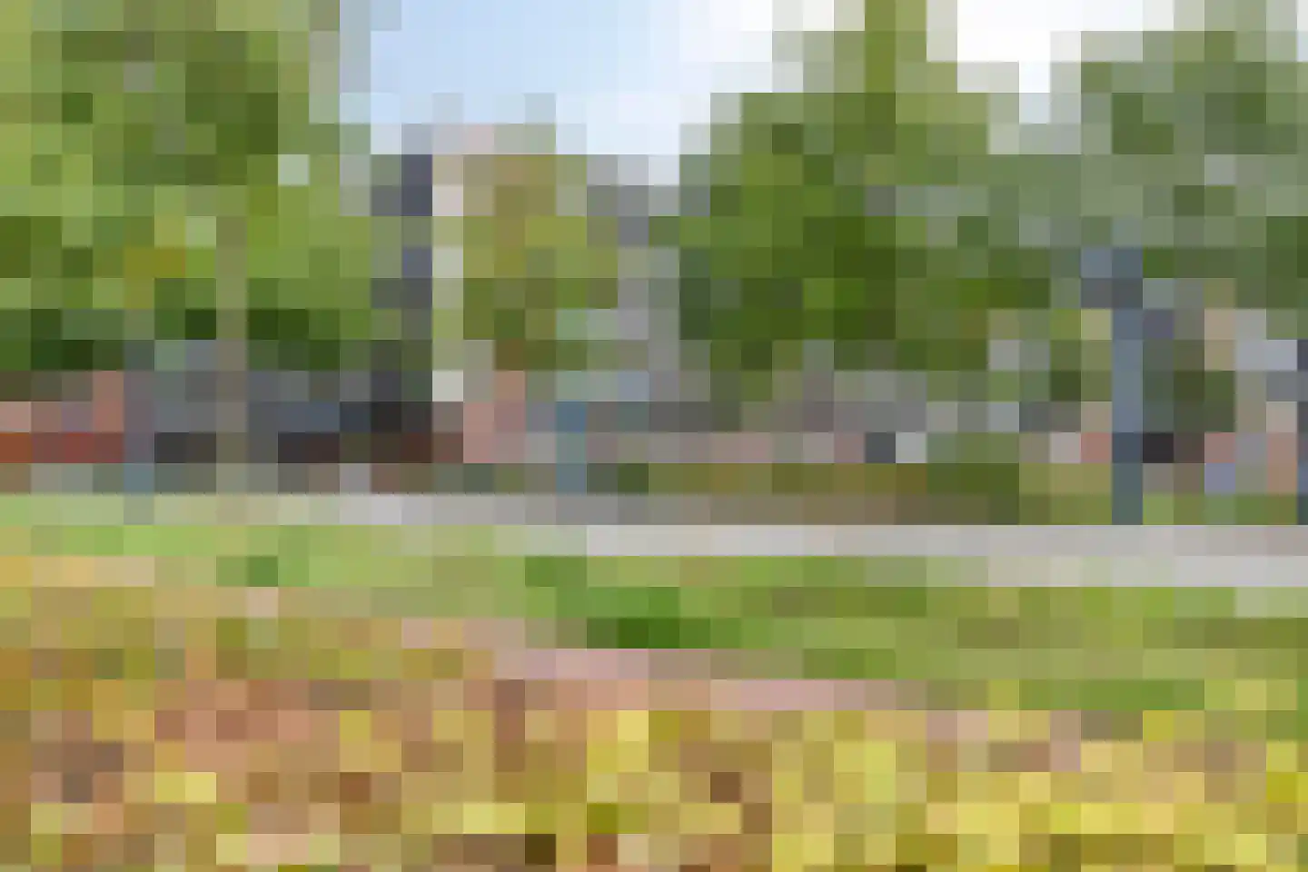 Grasvogel 3 Eindhoven thumbnail 40