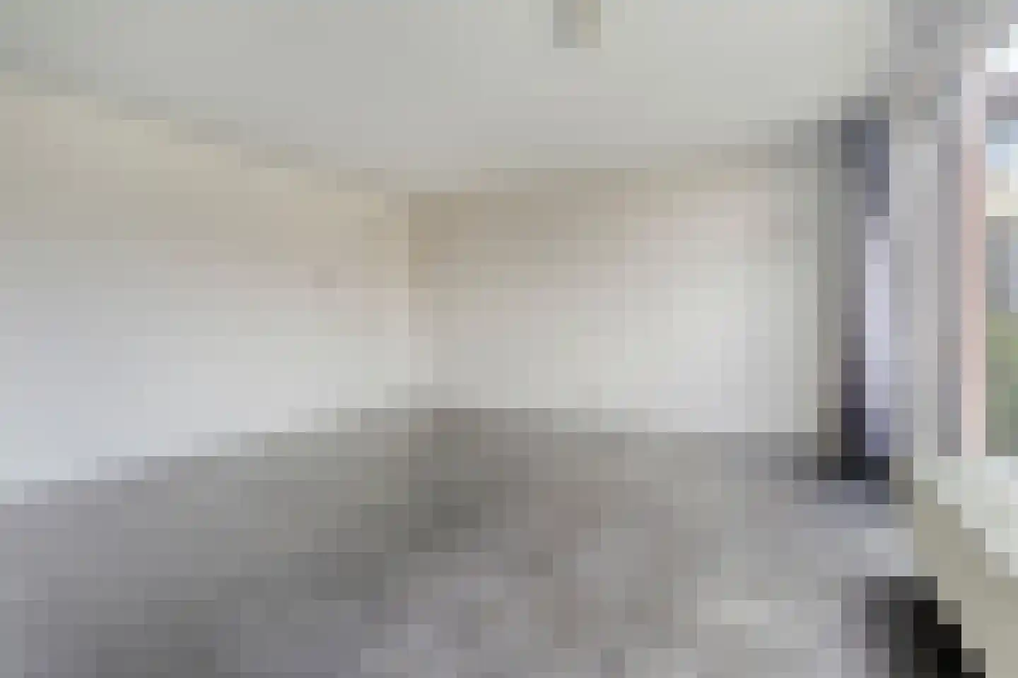 Grasvogel 3 Eindhoven thumbnail 7