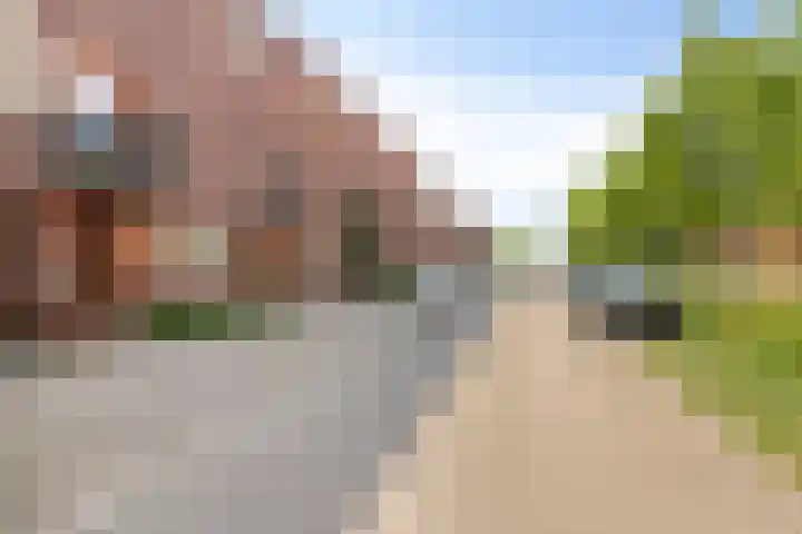 Grasvogel 33 Eindhoven thumbnail 10