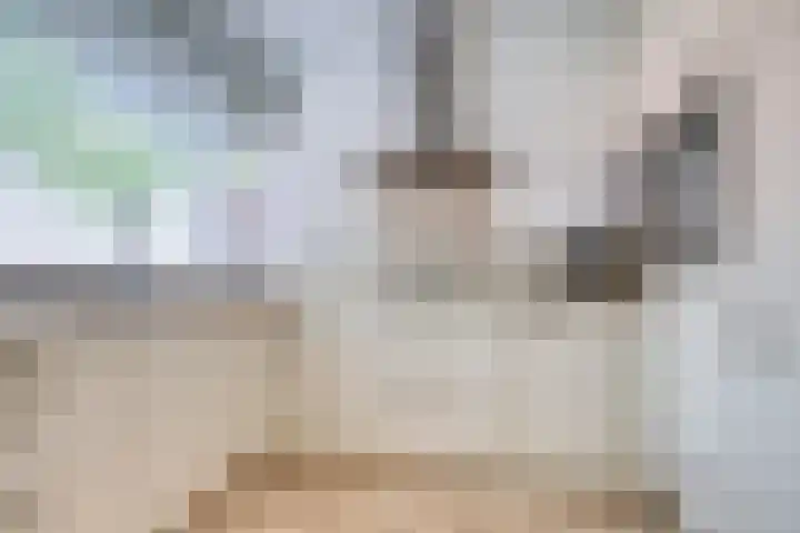 Grasvogel 33 Eindhoven thumbnail 19