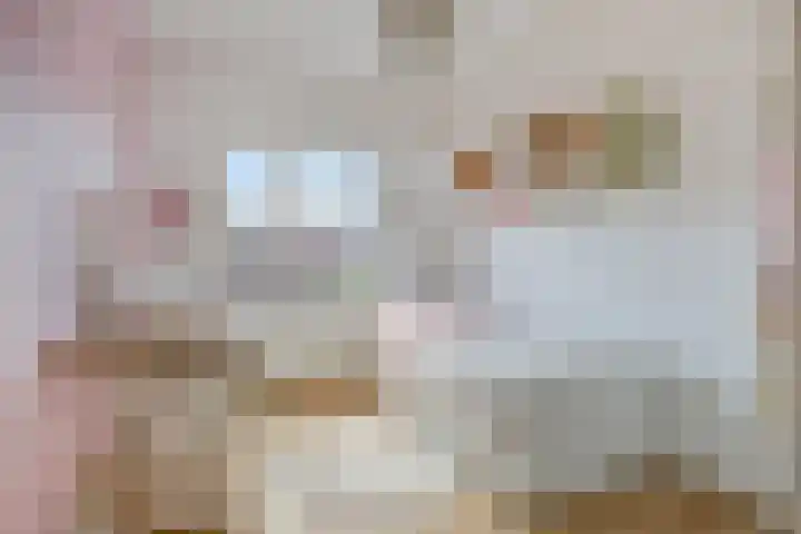 Grasvogel 33 Eindhoven thumbnail 26