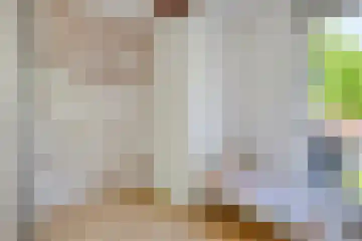 Grasvogel 33 Eindhoven thumbnail 28