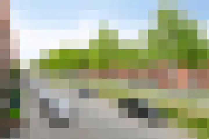 Grasvogel 33 Eindhoven thumbnail 30
