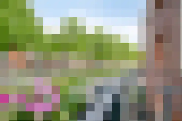Grasvogel 33 Eindhoven thumbnail 31
