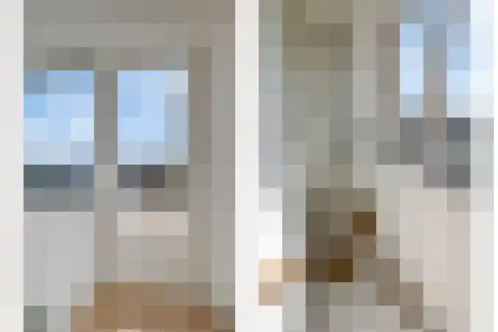 Grasvogel 33 Eindhoven thumbnail 32